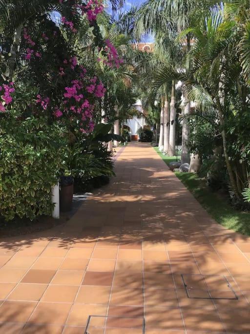 Apartamento Exterior Con Vistas Playa de las Americas  Ngoại thất bức ảnh